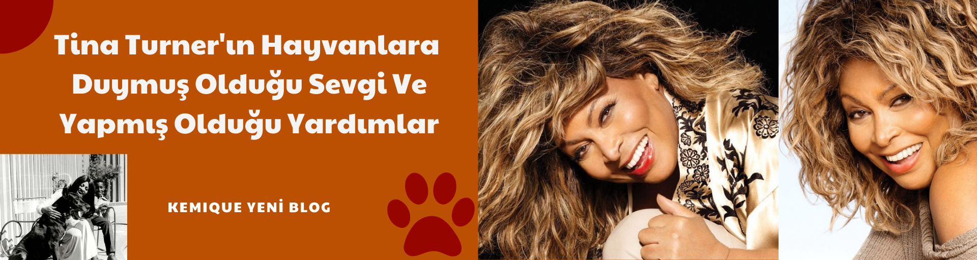 Tina Turner Hayvanlara Duyduğu Sevgi Ve Yapmış Olduğu Destekler